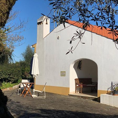Quinta Dos Girassois Fz Daire Ferreira do Zêzere Dış mekan fotoğraf