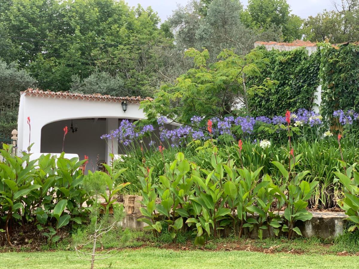 Quinta Dos Girassois Fz Daire Ferreira do Zêzere Dış mekan fotoğraf