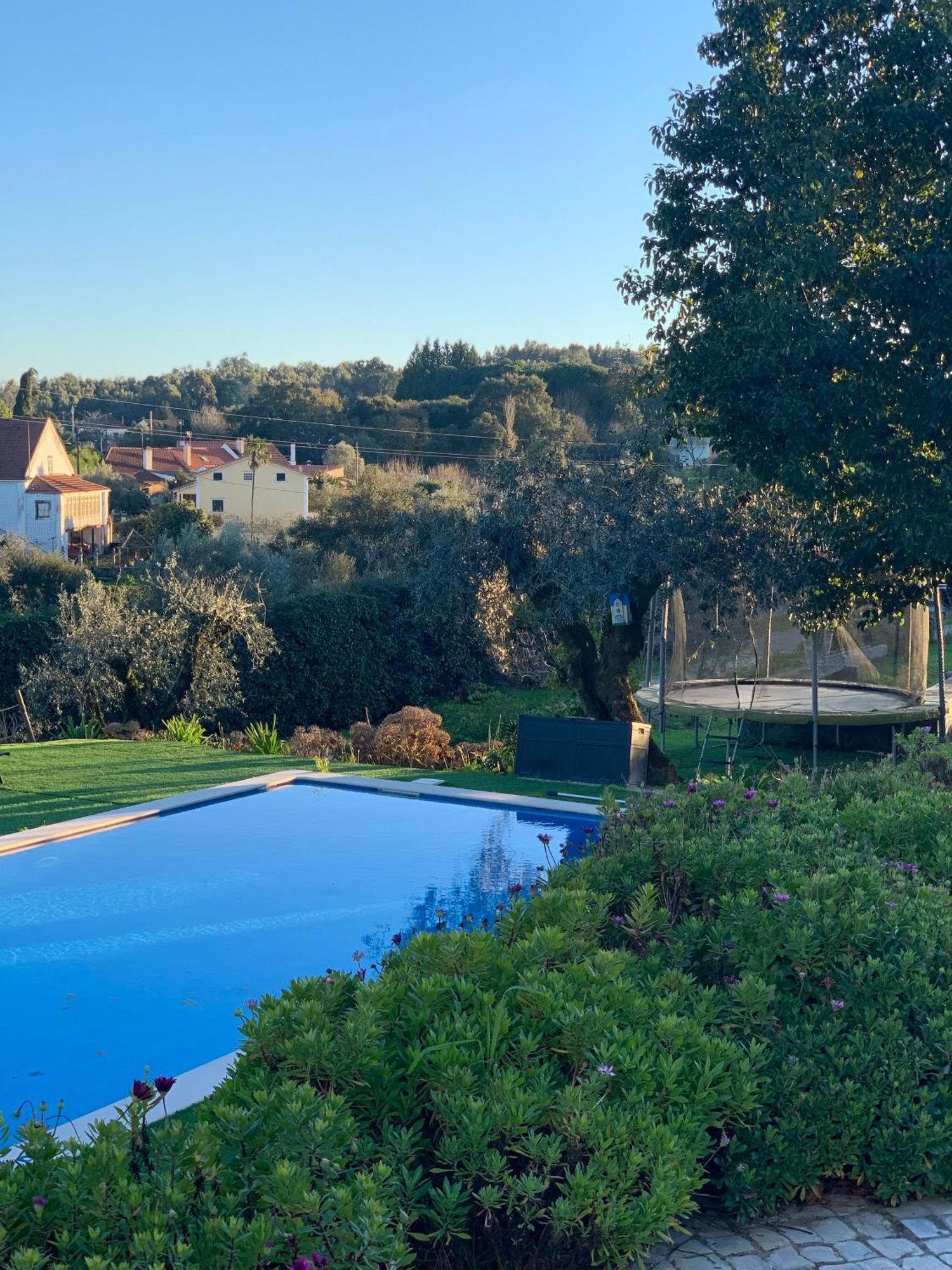 Quinta Dos Girassois Fz Daire Ferreira do Zêzere Dış mekan fotoğraf