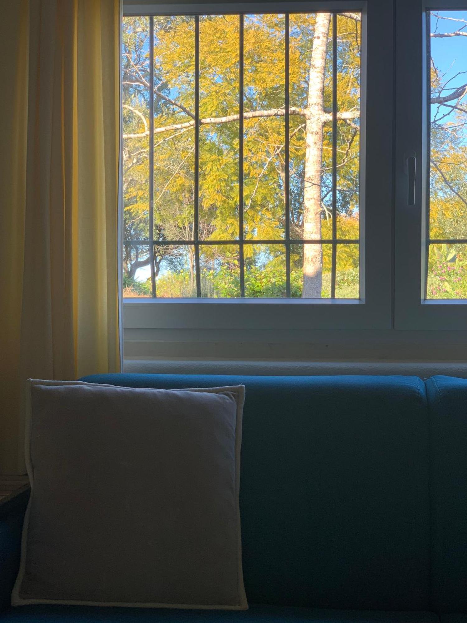 Quinta Dos Girassois Fz Daire Ferreira do Zêzere Dış mekan fotoğraf